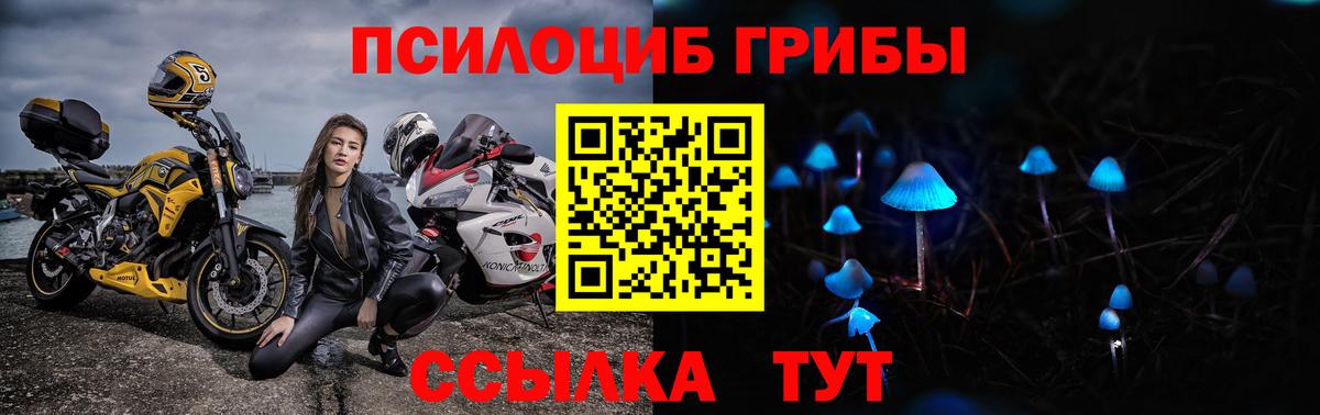 Петрозаводск  Псилоцибиновые грибы GOLDEN TEACHER  Вход с VPN 